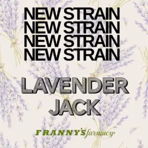 LAVENDER JACK