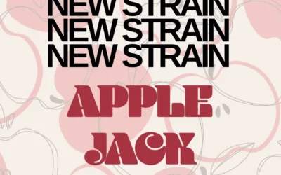 Apple Jack THCa Flower – Premium Hybrid (30.91%)