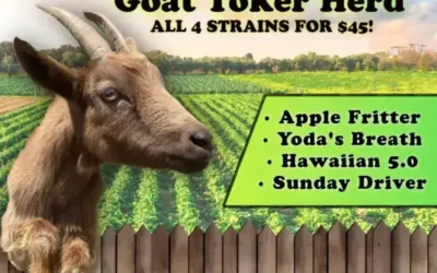GOAT Toker Bundle