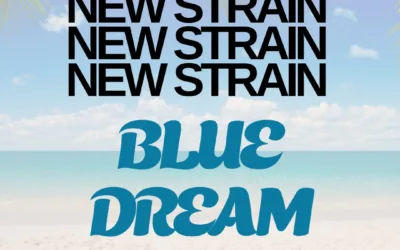 Franny’s Farmacy Blue Dream THCa Flower – Premium Indica (32.38%)