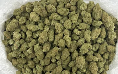 Fresh Drops Bi-Weekly: Explore Franny’s Farmacy’s Ever-Evolving THCa Flower Collection