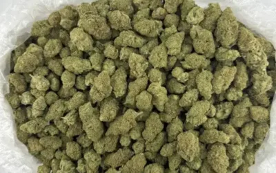Fresh Drops Bi-Weekly: Explore Franny’s Farmacy’s Ever-Evolving THCa Flower Collection