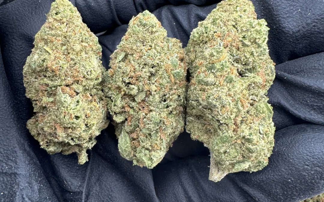 🌕 Full Oz Energy: 15% Off THCa Ounces Every Full Moon