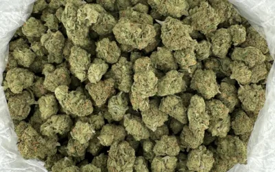 What is THCa? A Deep Dive Into the Cannabinoid of the Moment