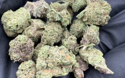 The Ritual of Relaxation — How THCa Flower Can Support Stress Relief