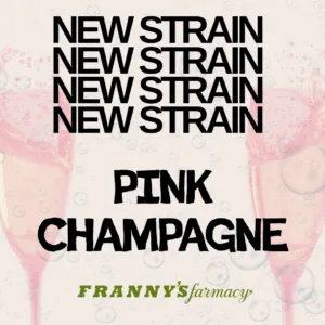 Pink Champagne THCa Flower – Indica-Dominant Hybrid (32.13%)