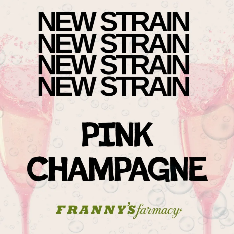 Pink Champagne THCa Flower – Indica-Dominant Hybrid (32.13%)