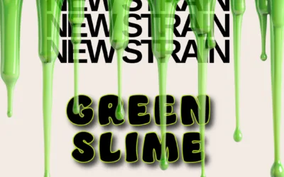 Green Slime THCa Flower – Premium Sativa (30.62%)