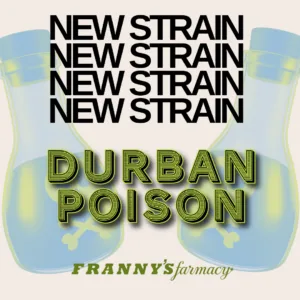 Durban Poison THCa Flower – Classic Sativa (28%)