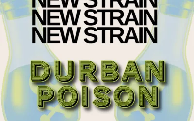 Durban Poison THCa Flower – Classic Sativa (28%)