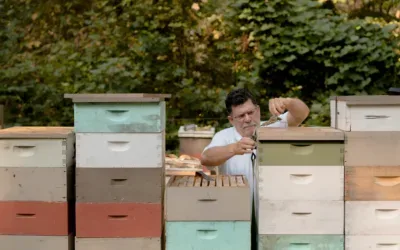 🍯🌿 A Sweet Ritual: Celebrating Tea, Bees & the Botanical Division at Franny’s Farmacy
