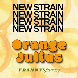 Orange Julius THCa Flower – Premium Sativa (33.1%)
