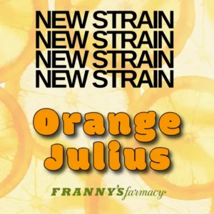 Orange Julius THCa Flower â€“ Premium Sativa (33.1%)
