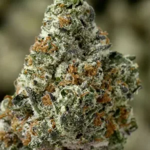 Peanut Butter Gelato THCa Flower – Indica (24.63%)