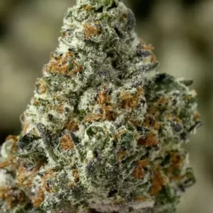 Peanut Butter Gelato THCa Flower â€“ Indica (24.63%)