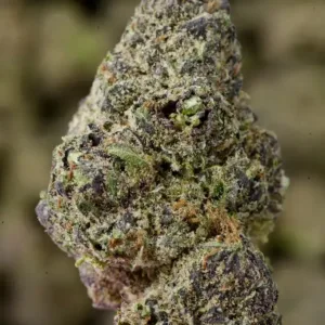 Purple Ice THCa Flower – Premium Sativa (27.03%)