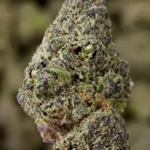 Purple Ice THCa Flower  Premium Sativa (27.03%)