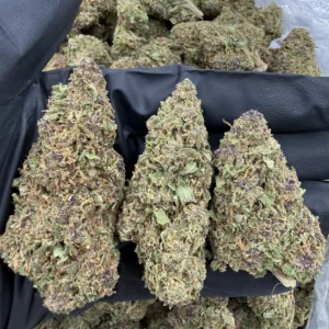 Blackberry THCa Flower – Premium Indica (33.21%)