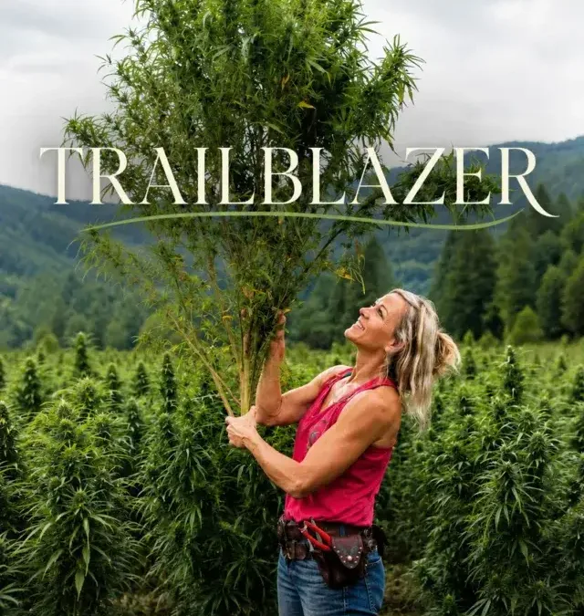 Part Two: Part Two: Building North Carolina’s First Legal Hemp Industry